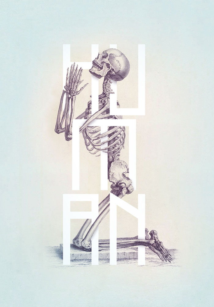Bone - Anatomy Illustrated 2 Australian Design