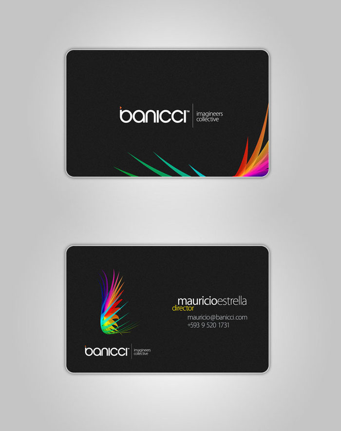 banicci Logo and Business Card Black Business Card