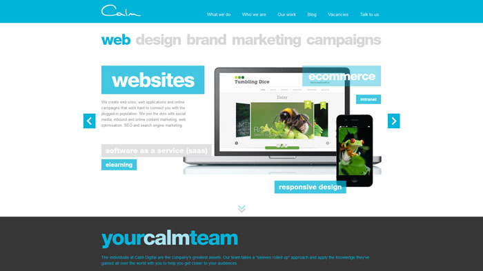 calmdigital.com Designed with Twitter Bootstrap