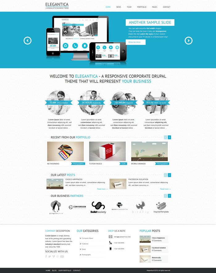 Elegantica Drupal Website design