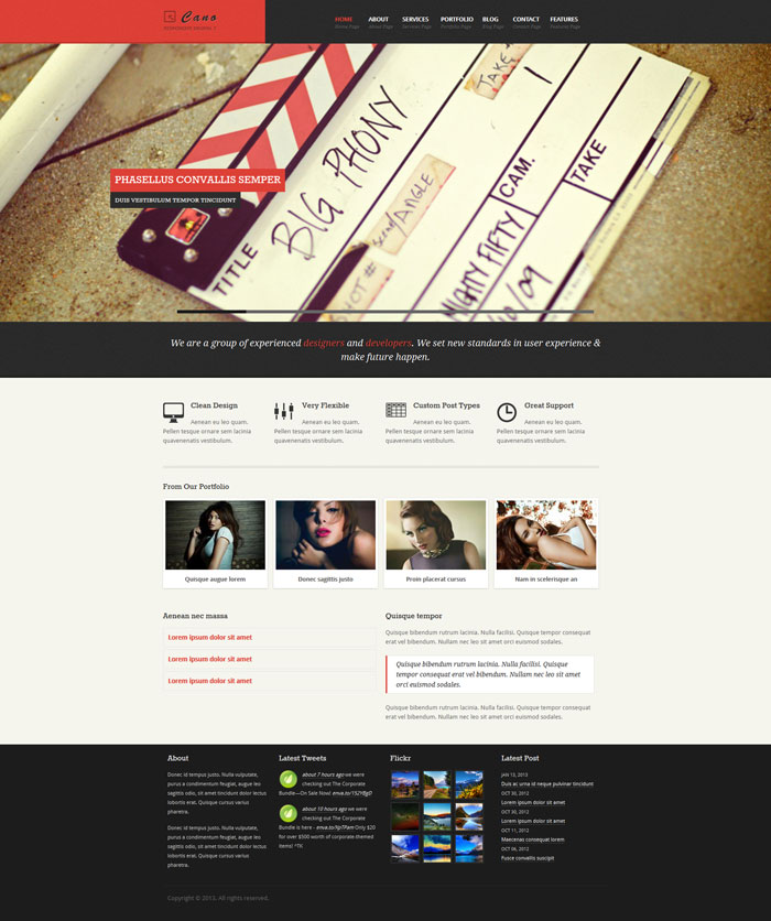 cano Drupal Website design