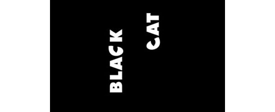 BLACK CAT Dual Meaning Logo Design Inspiration