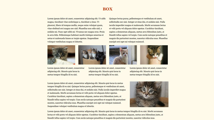 Box - CSS Framework