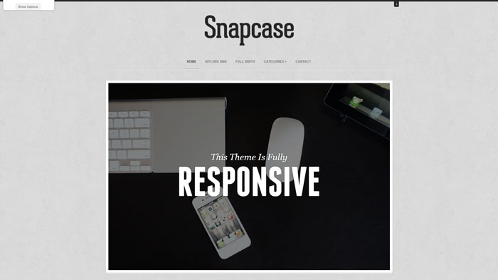 snapcase Photography website design