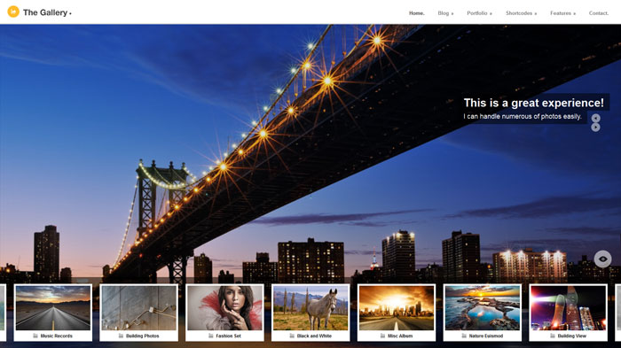 The gallery Photography website design