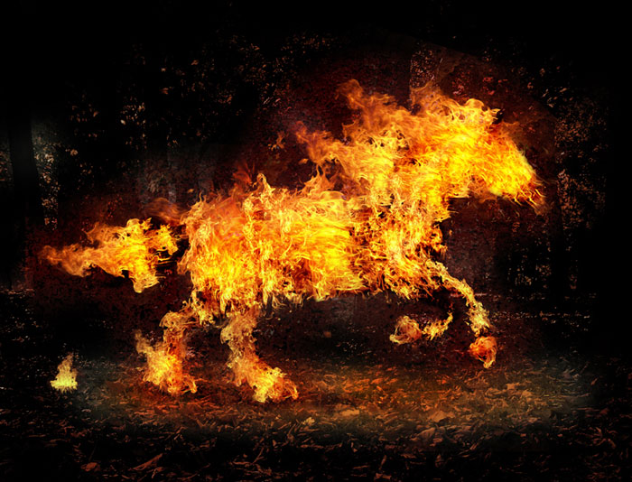 Fire Horse Photoshop Design Inspiration