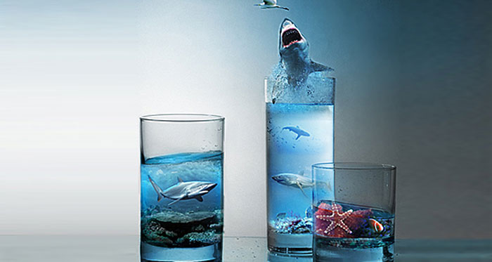sharks Photoshop Design Inspiration