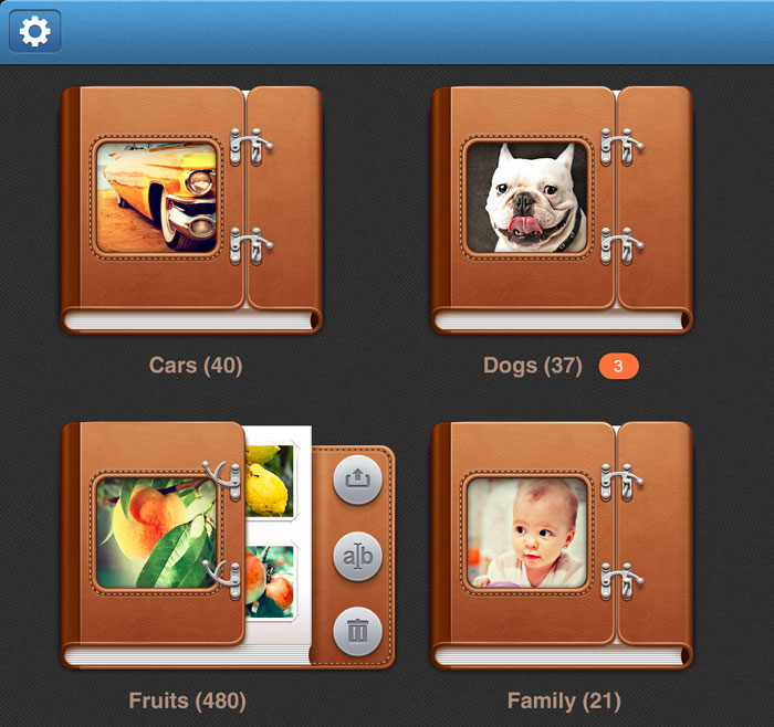 Photoalbum's controls for UI iPad User Interface Design Inspiration